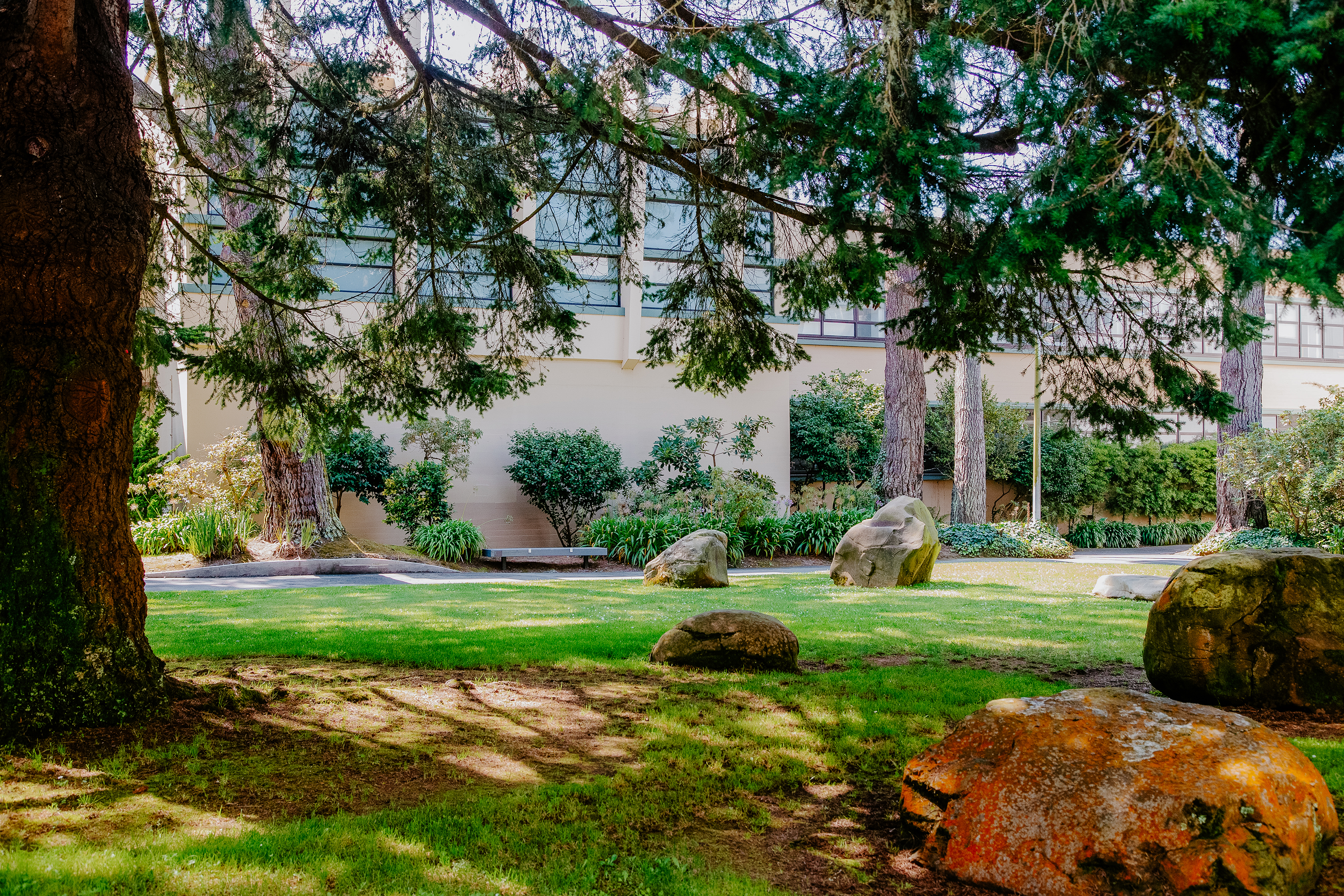 Under the large trees of the garden
