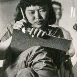Ruth Asawa drawing at Black Mountain College